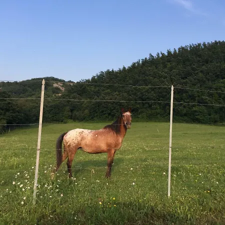 Relais Valguerriera Country house *